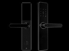 青松沃德-Wi-Fi 指紋鎖家用防盜門智能門鎖密碼鎖刷卡電子鎖 防磁干擾 防撬 L9-WT (不含鎖體，鎖體需另購(gòu)）